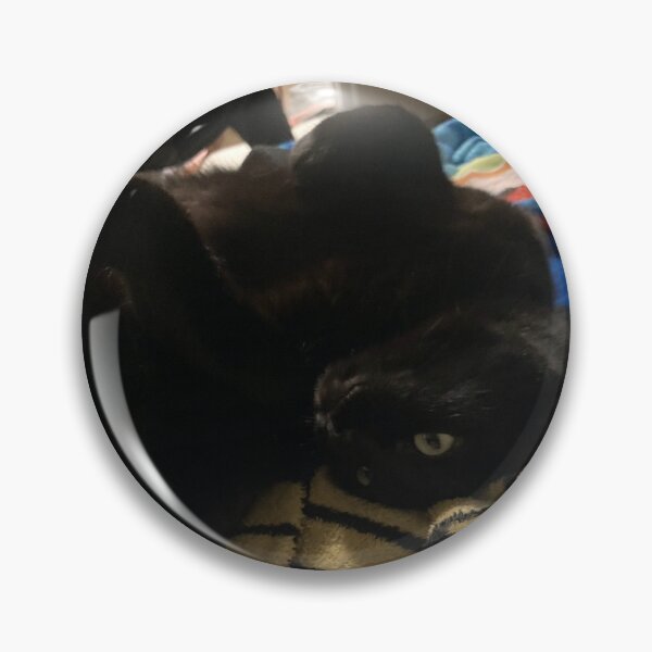 Item preview, Gatito tonto designed and sold by Shadow45790.