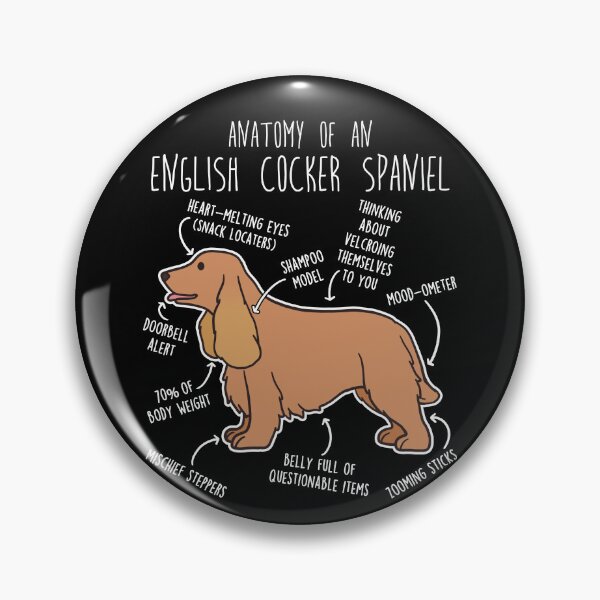 Item preview, Red English Cocker Spaniel Dog Anatomy designed and sold by Clara Hollins.