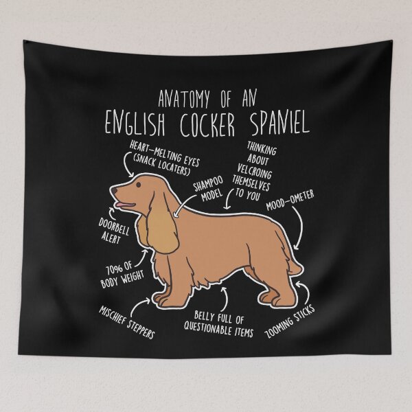 Item preview, Red English Cocker Spaniel Dog Anatomy designed and sold by Clara Hollins.