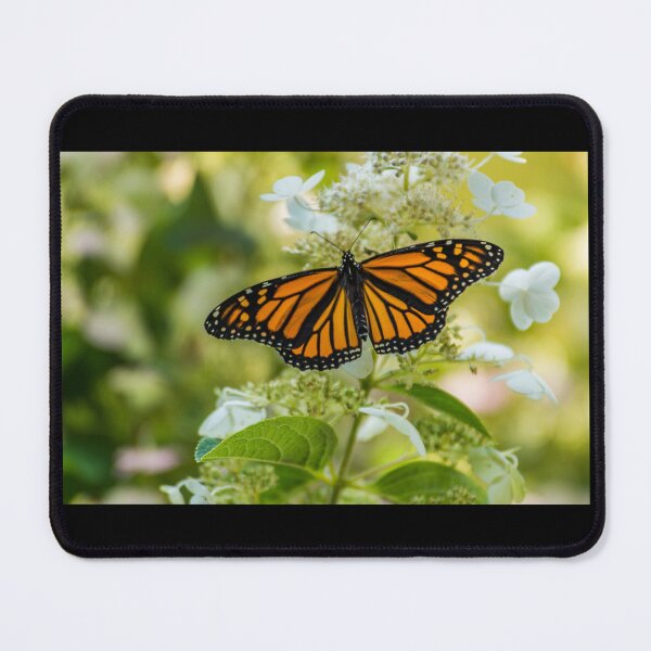 Item preview, Monarch Butterfly showing us its beauty designed and sold by Roxane Bay.