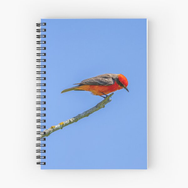 Item preview, Vermillion Flycatcher Bug Hunting designed and sold by PsychoAlien.com.