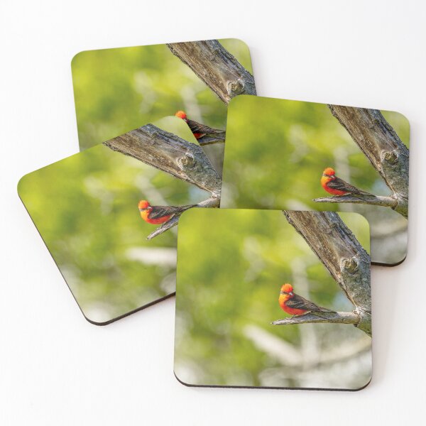 Item preview, Hi Mr. Vermillion Flycatcher! designed and sold by PsychoAlien.com.