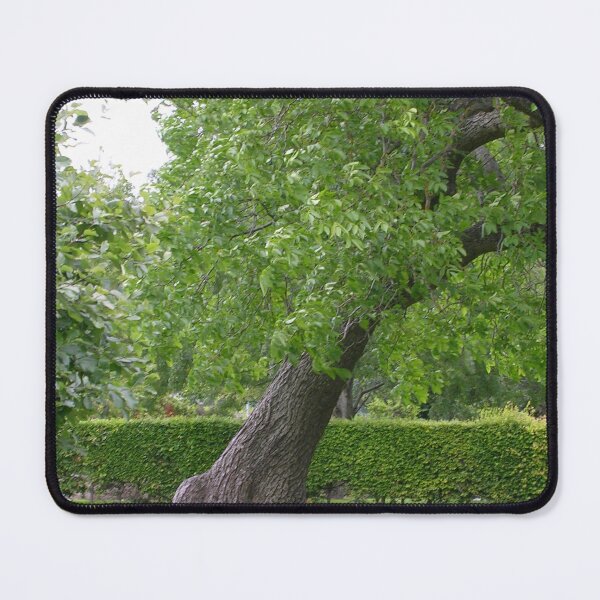 Item preview, Cooper Park, Elgin designed and sold by lezvee.