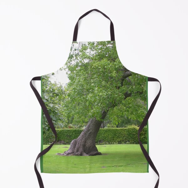 Item preview, Cooper Park, Elgin designed and sold by lezvee.