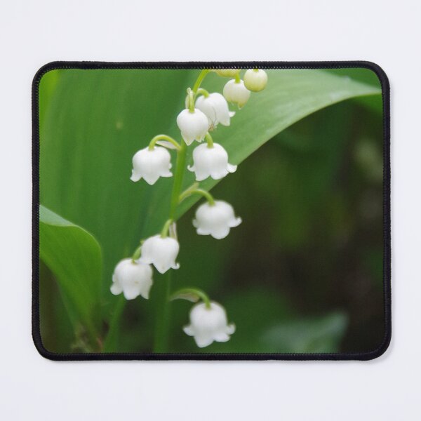 Item preview, Lily-of-the-Valley designed and sold by lezvee.
