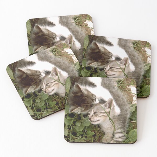 Item preview, Kitten love designed and sold by DjeriK.