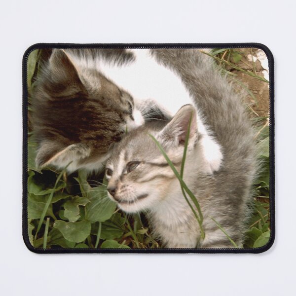 Item preview, Kitten love designed and sold by DjeriK.