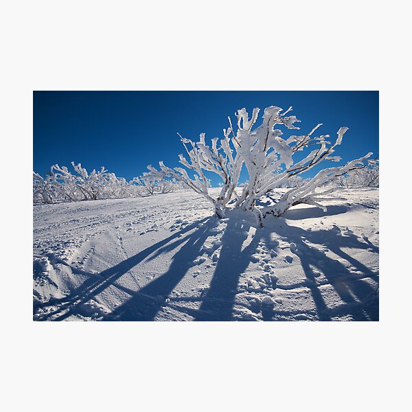 Item preview, Mount Hotham designed and sold by Roger Barnes.