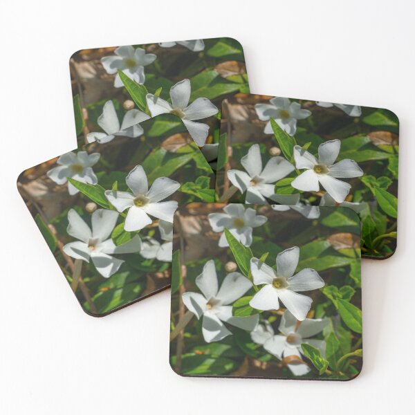 Item preview, Small periwinkle in full bloom designed and sold by TW-Fotos.
