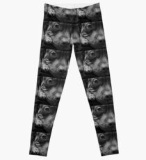 Bully Puppy Leggings