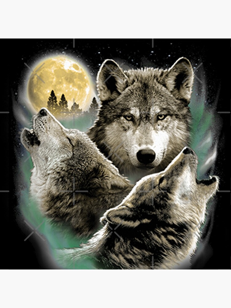 three wolves howling
