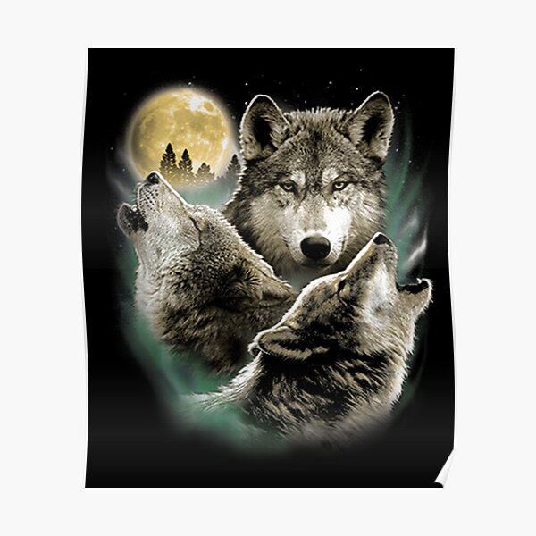 dwight schrute three wolf moon