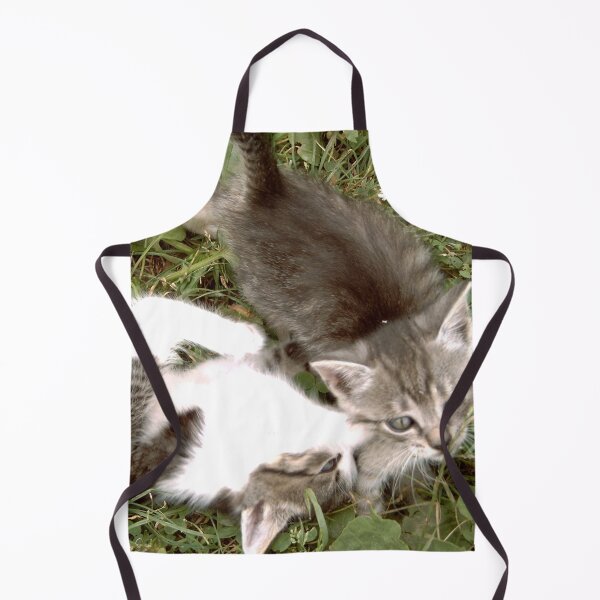 Item preview, Kitten game designed and sold by DjeriK.