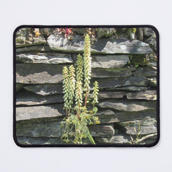 Item preview, Flat Dry Stone Walling - Devon UK designed and sold by lezvee.