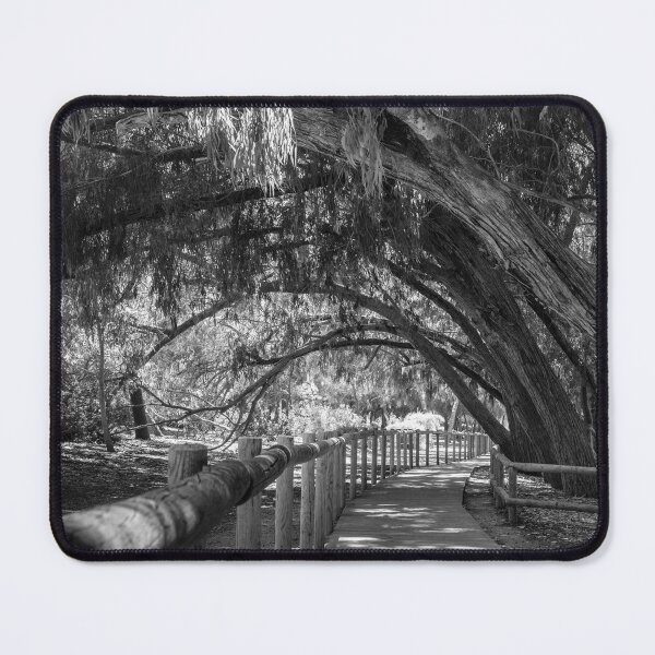 Item preview, Bends in Black and White designed and sold by Ralph Goldsmith.