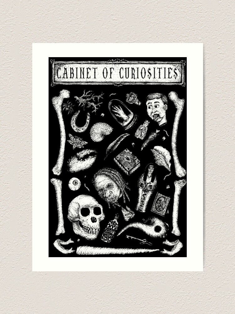 アート・デザイン・音楽 CHAMBER of CURIOSITIES Kunstkammer: Early Modern Art and Curiosity Cabinets in the