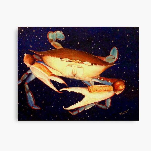 Crab in Space Canvas Print