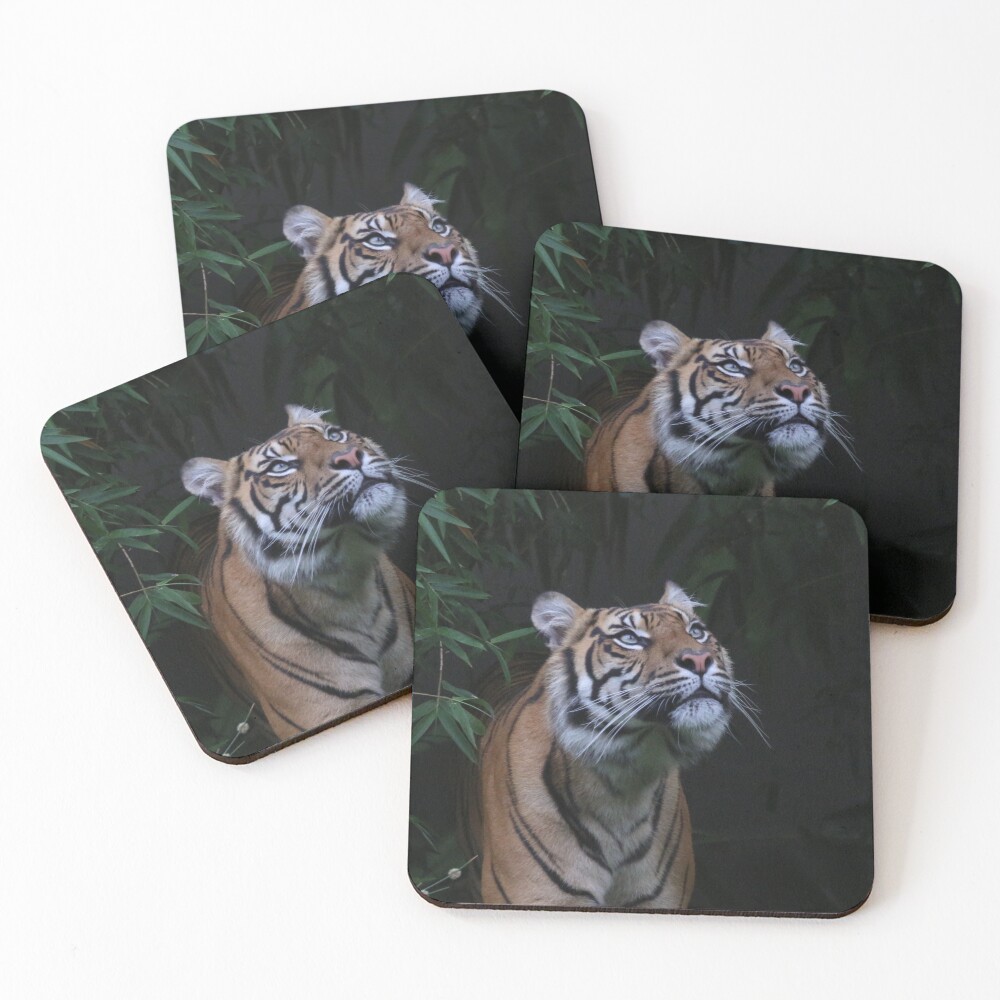 Item preview, Coasters (Set of 4) designed and sold by PixSL.
