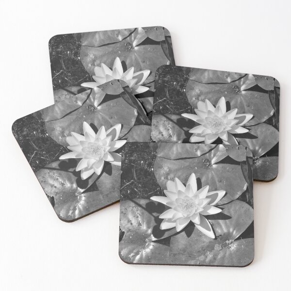 Item preview, Black and white lilyflower and a frog - a pond with lilyleaves in the summer - nature and travel photographuy designed and sold by Christa Stroo Photography.