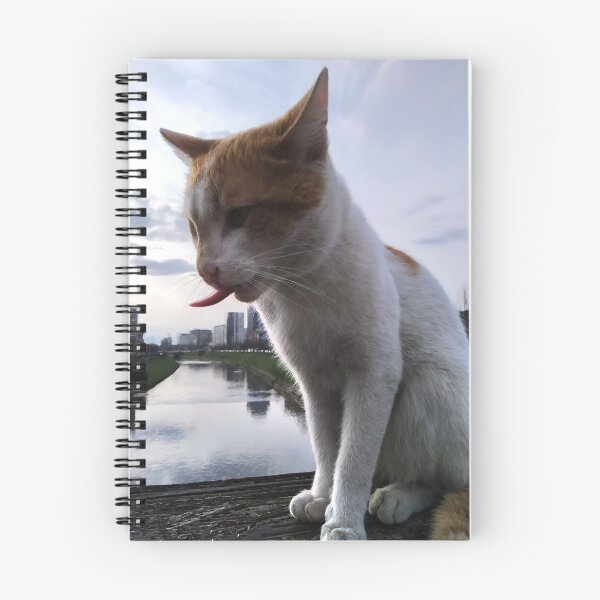 Artikelvorschau, Meine Katze entworfen und verkauft von DjeriK.
