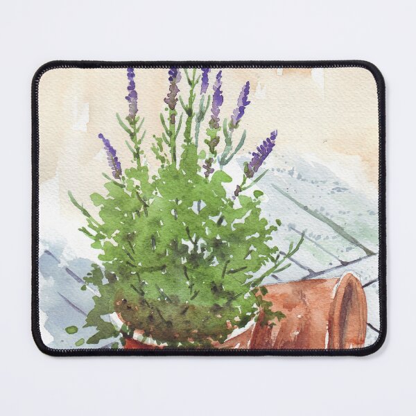 Item preview, Lavender in a pot designed and sold by Maree Clarkson .