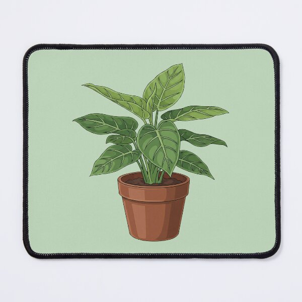 Item preview, Strong plant with large leaves designed and sold by Heidi25L.