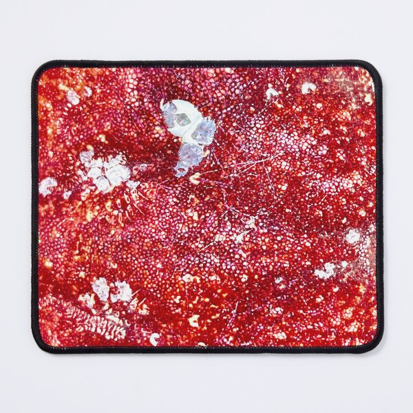 Item preview, Crabby designed and sold by DF Textures.