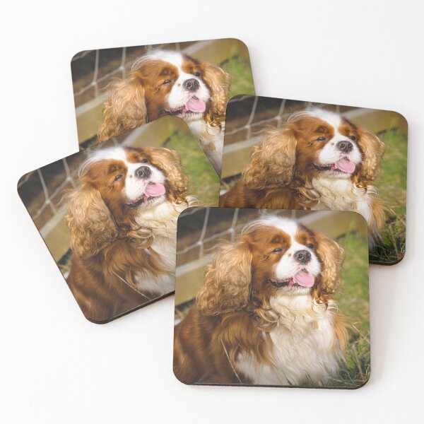 Item preview, Cute Dog Patiently Waiting designed and sold by heidipics.