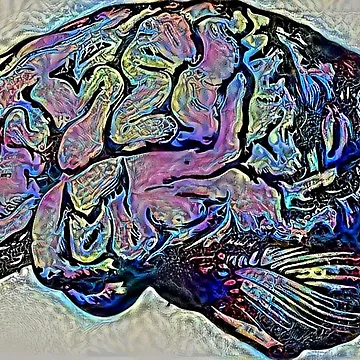 Artwork thumbnail, Brain mass Colorful by AndroidZ