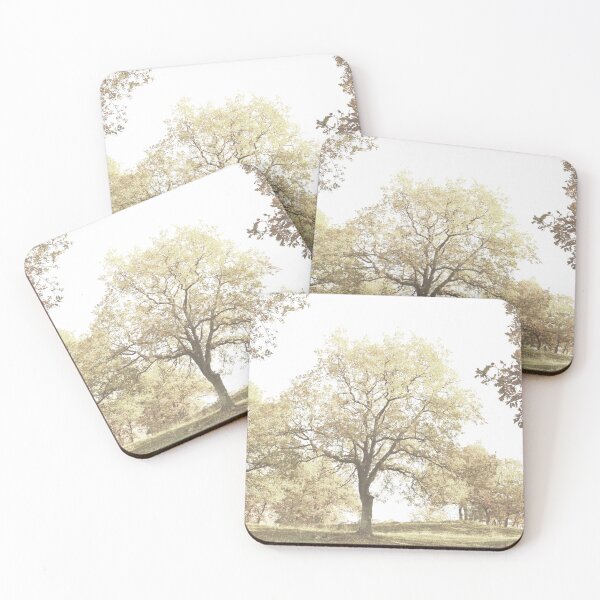 Item preview, Autumn trees with soft yellow foliage photography designed and sold by by-jwp.