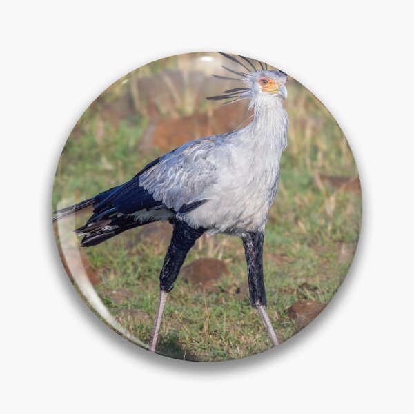 Item preview, Secretarybird Masai Mara Kenya designed and sold by PhotoArt by Joan Carroll.