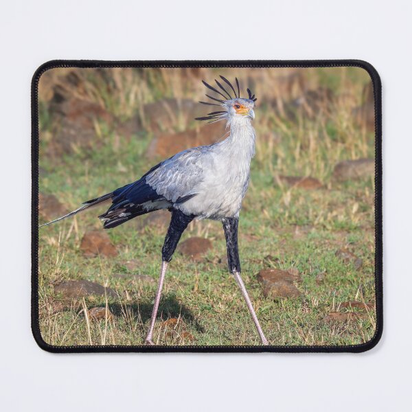 Item preview, Secretarybird Masai Mara Kenya designed and sold by PhotoArt by Joan Carroll.