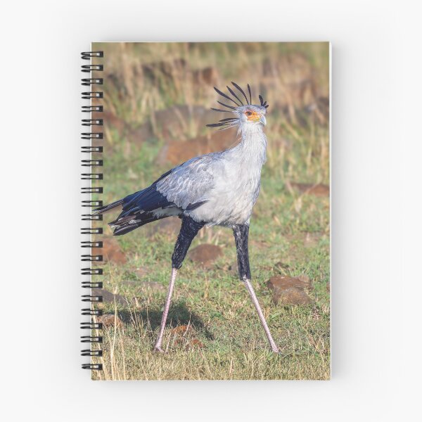 Item preview, Secretarybird Masai Mara Kenya designed and sold by PhotoArt by Joan Carroll.