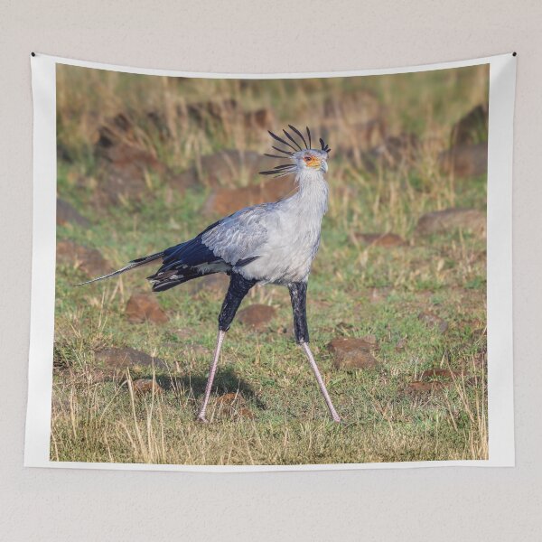 Item preview, Secretarybird Masai Mara Kenya designed and sold by PhotoArt by Joan Carroll.