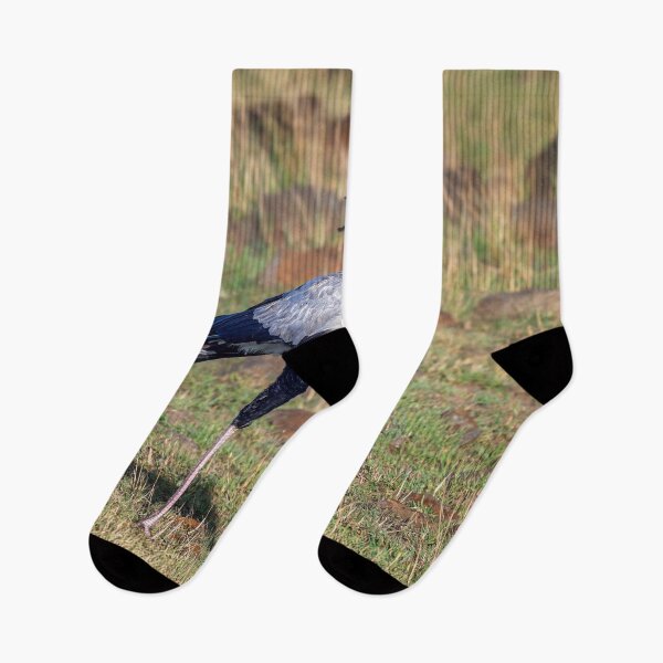 Item preview, Secretarybird Masai Mara Kenya designed and sold by PhotoArt by Joan Carroll.