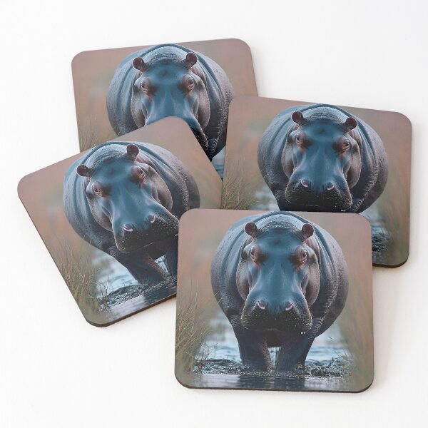 Item preview, Still Waters, Heavy Presence: Hippo in the Grass designed and sold by eyeconart.