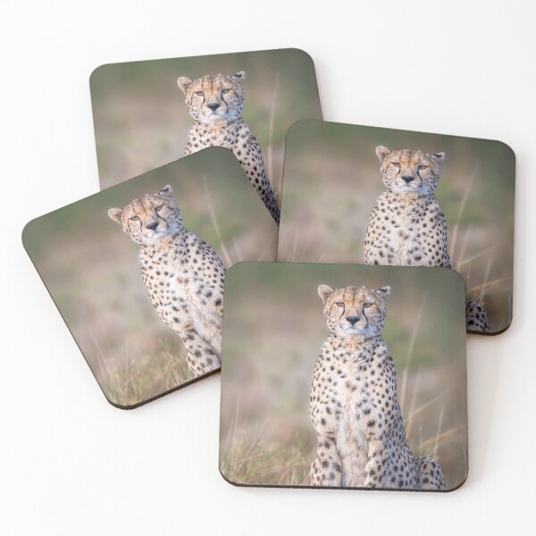Item preview, Cheetah Sitting Upright Masai Mara Kenya 3 designed and sold by PhotoArt by Joan Carroll.