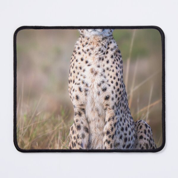 Item preview, Cheetah Sitting Upright Masai Mara Kenya 3 designed and sold by PhotoArt by Joan Carroll.