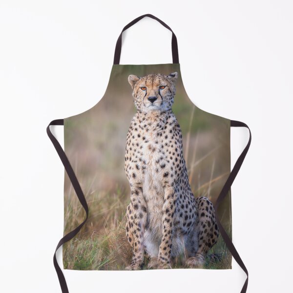 Item preview, Cheetah Sitting Upright Masai Mara Kenya 3 designed and sold by PhotoArt by Joan Carroll.