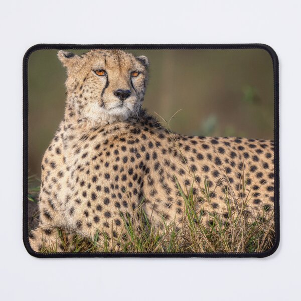Item preview, Elegant Cheetah Masai Mara Kenya designed and sold by PhotoArt by Joan Carroll.