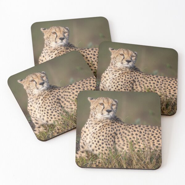 Item preview, Elegant Cheetah Masai Mara Kenya designed and sold by PhotoArt by Joan Carroll.