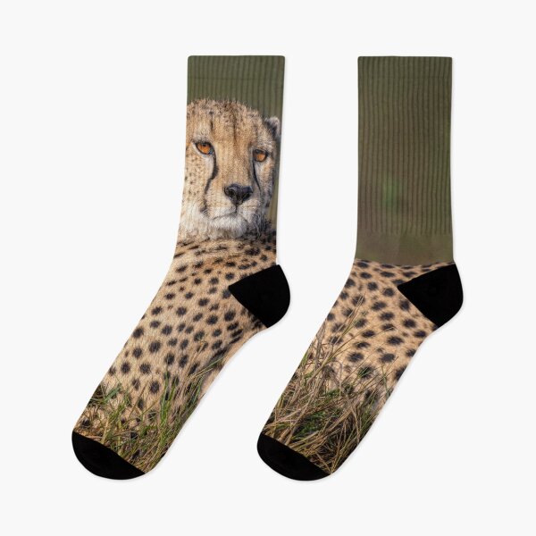 Item preview, Elegant Cheetah Masai Mara Kenya designed and sold by PhotoArt by Joan Carroll.