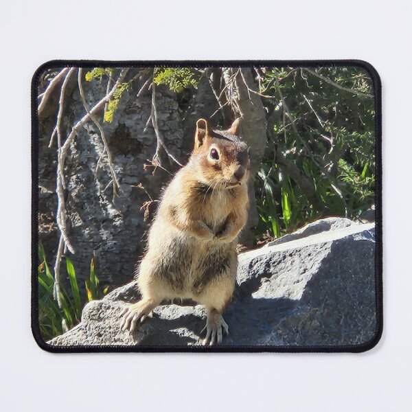 Item preview, Greedy Chipmunk designed and sold by Momo PnW.