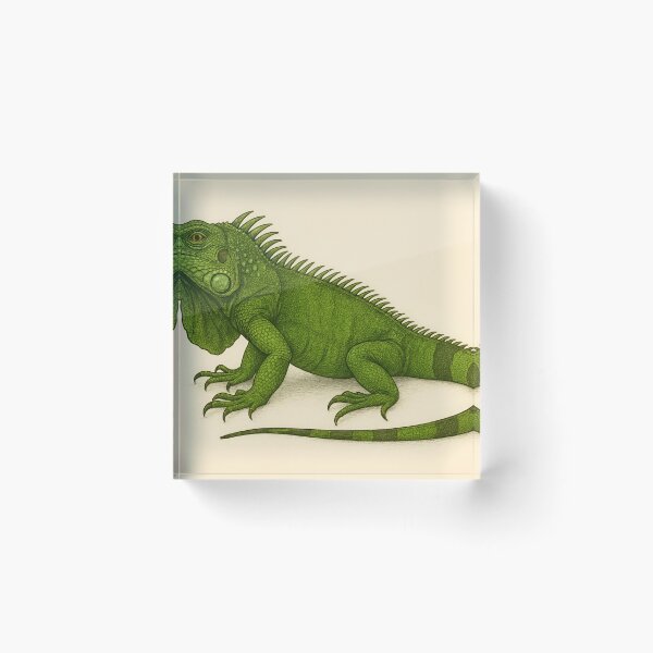 Item preview, Cool Green Iguana designed and sold by SpookyRat1942.