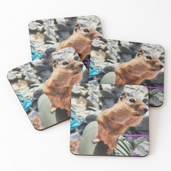 Item preview, The Beggar designed and sold by Momo PnW.