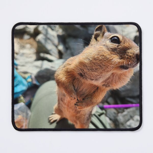 Item preview, The Beggar designed and sold by Momo PnW.