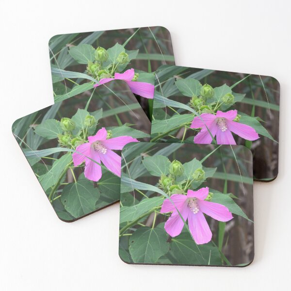 Item preview, Pink Hibiscus designed and sold by LIFEwithSANTO.