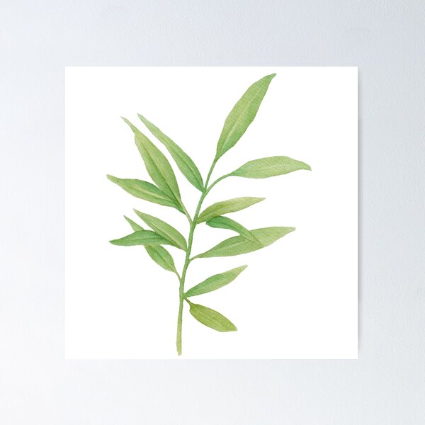 Item preview, Leafy leaf designed and sold by cadstudios.