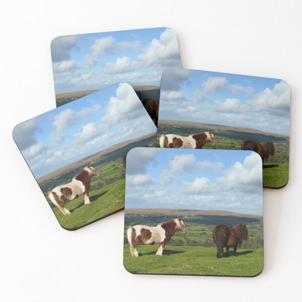 Item preview, Dartmoor Ponies designed and sold by Chris Petty.