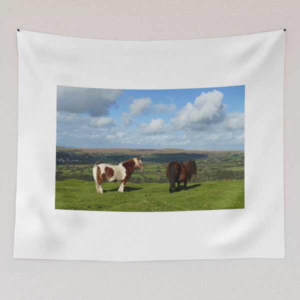Item preview, Dartmoor Ponies designed and sold by Chris Petty.